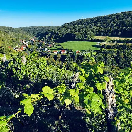 Appartement Angernest Elfershausen